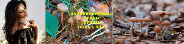 MDMA Аркадак