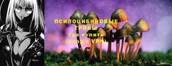 MDMA Аркадак