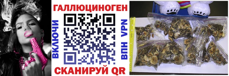 Купить где  Янаул  Псилоцибиновые грибы MAGIC MUSHROOMS 